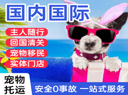 东阳横店空运代理国际宠物托运 【国